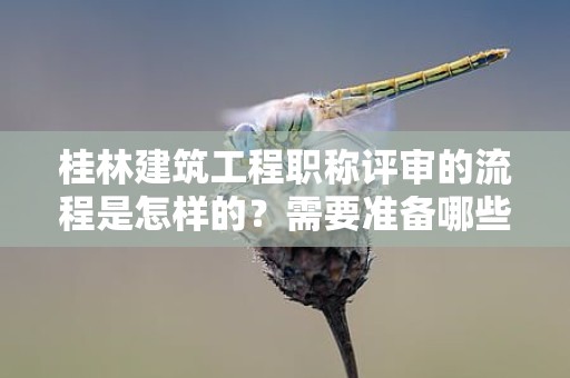 桂林建筑工程职称评审的流程是怎样的？需要准备哪些材料？