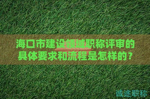 海口市建设领域职称评审的具体要求和流程是怎样的？