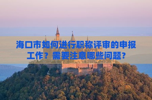 海口市如何进行职称评审的申报工作？需要注意哪些问题？