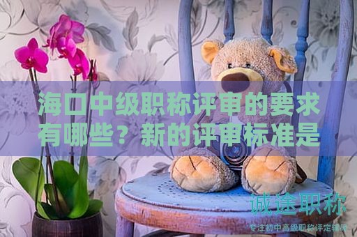 海口中级职称评审的要求有哪些？新的评审标准是什么？