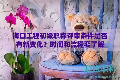 海口工程初级职称评审条件是否有新变化？时间和流程要了解
