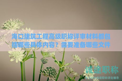 海口建筑工程高级职称评审材料都包括哪些具体内容？需要准备哪些文件？