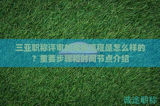 三亚职称评审的具体流程是怎么样的？重要步骤和时间节点介绍