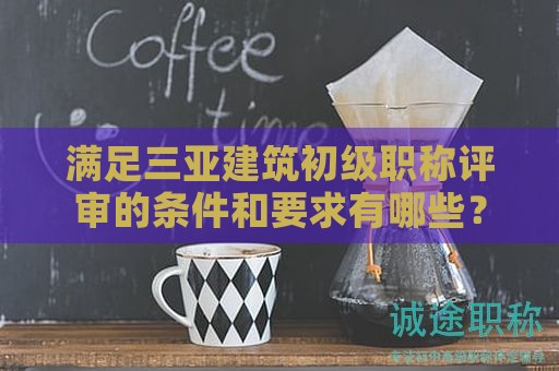 满足三亚建筑初级职称评审的条件和要求有哪些？