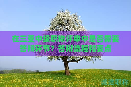 在三亚中级职称评审中是否需要答辩环节？答辩流程和要点