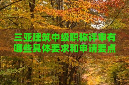 三亚建筑中级职称评审有哪些具体要求和申请要点？