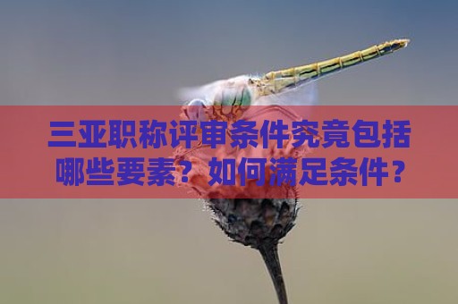 三亚职称评审条件究竟包括哪些要素？如何满足条件？