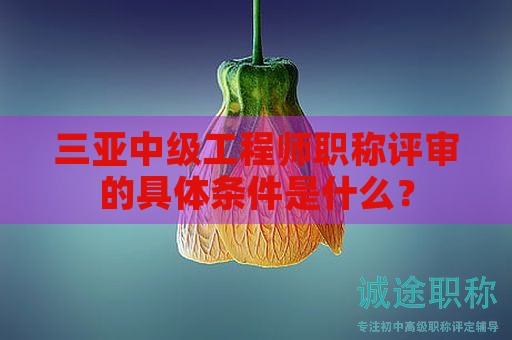 三亚中级工程师职称评审的具体条件是什么？