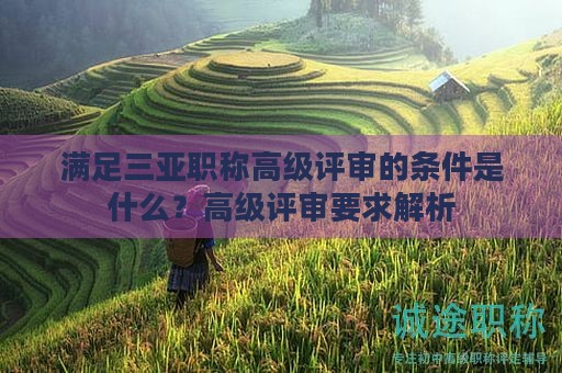 满足三亚职称高级评审的条件是什么？高级评审要求解析