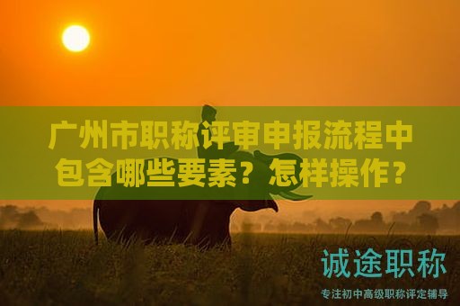 广州市职称评审申报流程中包含哪些要素？怎样操作？