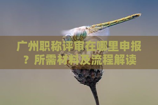 广州职称评审在哪里申报？所需材料及流程解读