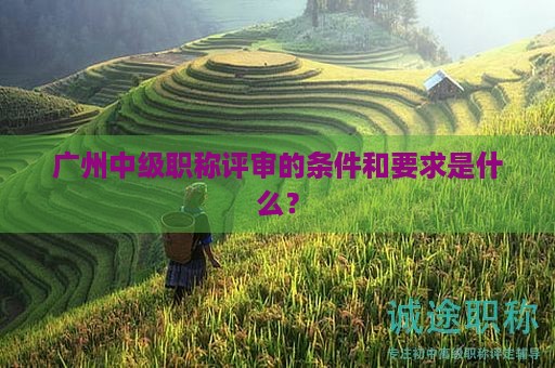 广州中级职称评审的条件和要求是什么？