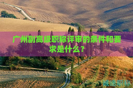 广州副高级职称评审的条件和要求是什么？