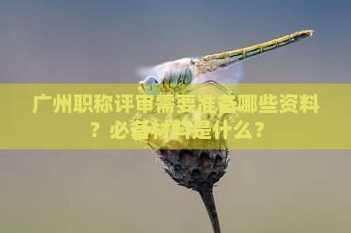 广州职称评审需要准备哪些资料？必备材料是什么？