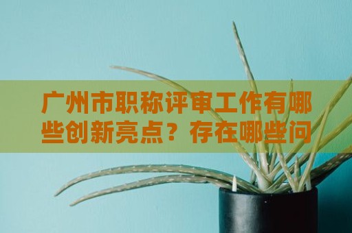 广州市职称评审工作有哪些创新亮点？存在哪些问题？