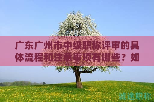 广东广州市中级职称评审的具体流程和注意事项有哪些？如何备考？