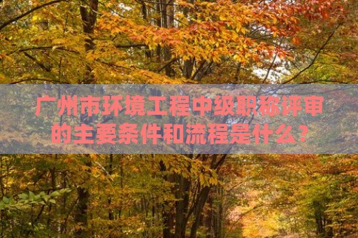 广州市环境工程中级职称评审的主要条件和流程是什么？