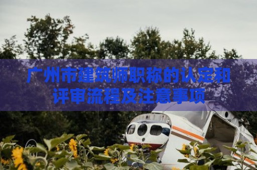 广州市建筑师职称的认定和评审流程及注意事项