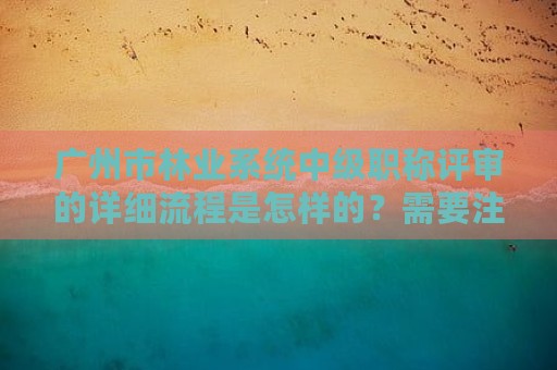 广州市林业系统中级职称评审的详细流程是怎样的？需要注意什么？