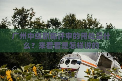广州中级职称评审的用处是什么？来看看是怎样说的