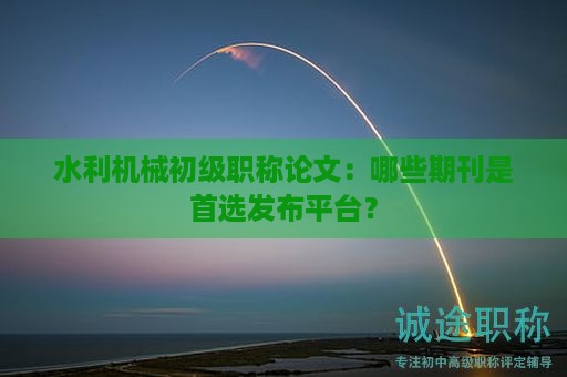 水利机械初级职称论文要求，哪些期刊是首选发布平台？
