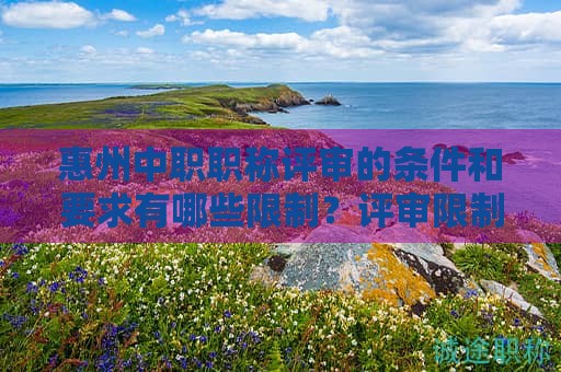 惠州中职职称评审的条件和要求有哪些限制？评审限制条件详述