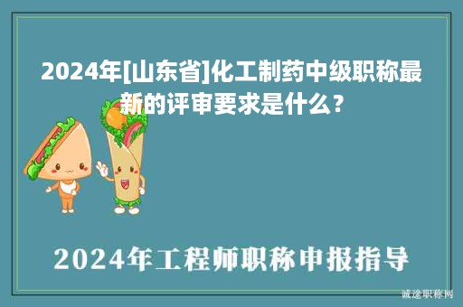 2024年[山东省]化工制药中级职称最新的评审要求是什么？