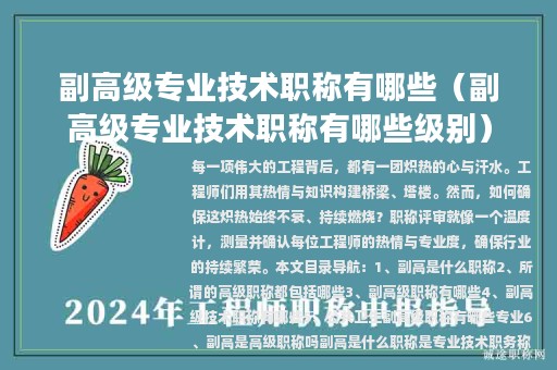 副高级专业技术职称有哪些（副高级专业技术职称有哪些级别）