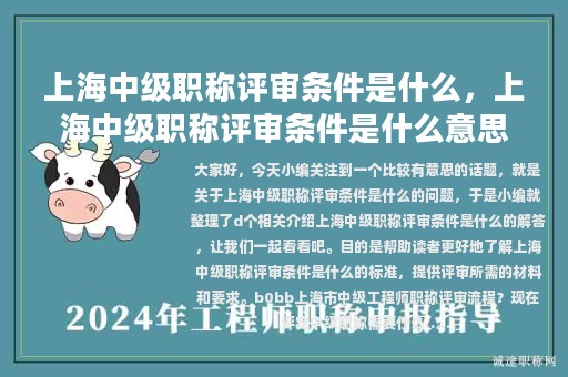上海中级职称评审条件是什么，上海中级职称评审条件是什么意思