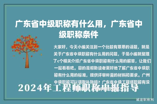 广东省中级职称有什么用，广东省中级职称条件