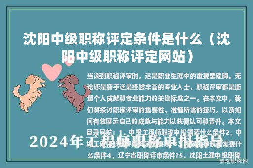 沈阳中级职称评定条件是什么（沈阳中级职称评定网站）