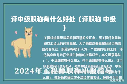 评中级职称有什么好处（评职称 中级）