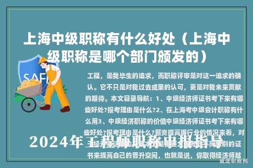 上海中级职称有什么好处（上海中级职称是哪个部门颁发的）