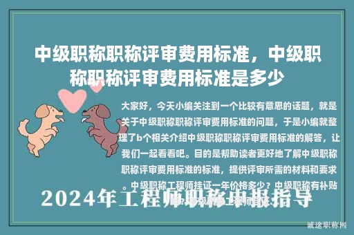 中级职称职称评审费用标准，中级职称职称评审费用标准是多少