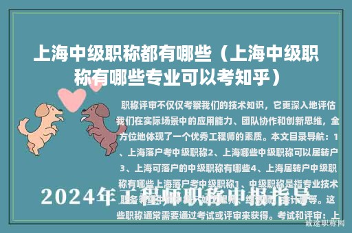 上海中级职称都有哪些（上海中级职称有哪些专业可以考知乎）