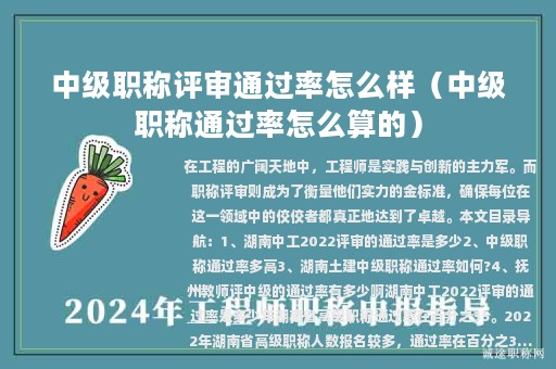 中级职称评审通过率怎么样（中级职称通过率怎么算的）