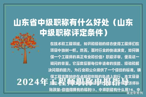 山东省中级职称有什么好处（山东中级职称评定条件）