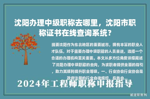 沈阳办理中级职称去哪里，沈阳市职称证书在线查询系统？