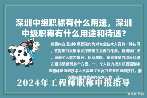 深圳中级职称有什么用途，深圳中级职称有什么用途和待遇？