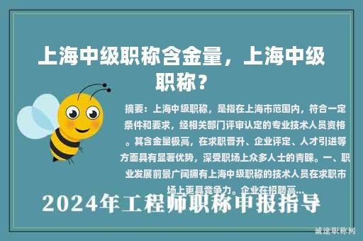 上海中级职称含金量，上海中级职称？
