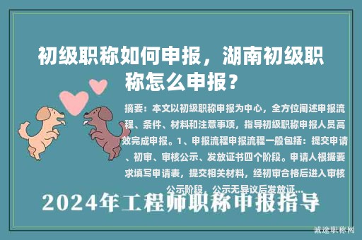 初级职称如何申报，湖南初级职称怎么申报？