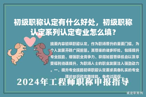 初级职称认定有什么好处，初级职称认定系列认定专业怎么填？