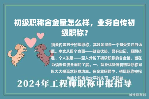 初级职称含金量怎么样，业务自传初级职称？