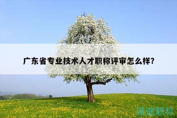 广东省专业技术人才职称评审怎么样？