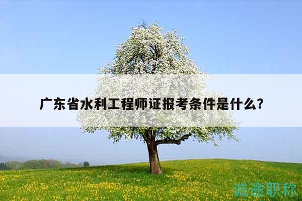 广东省水利工程师证报考条件是什么？