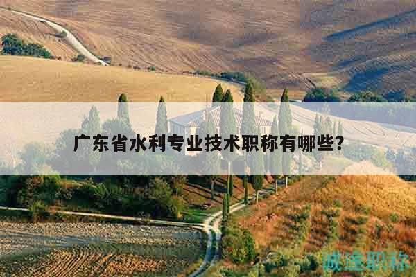 广东省水利专业技术职称有哪些？