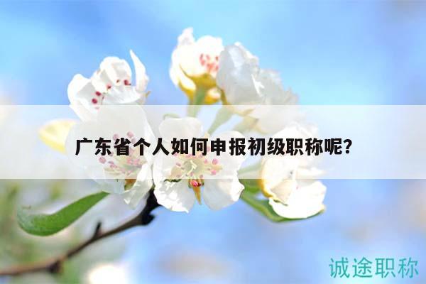 广东省个人如何申报初级职称呢？