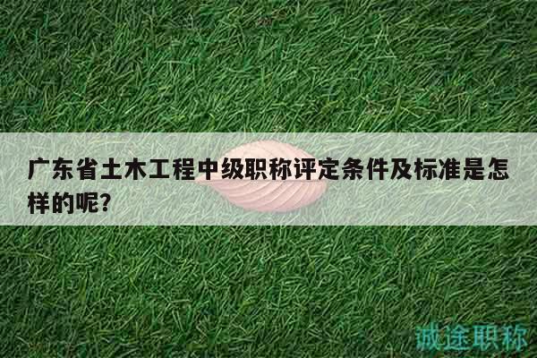 广东省土木工程中级职称评定条件及标准是怎样的呢？