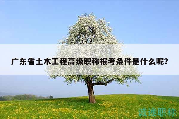 广东省土木工程高级职称报考条件是什么呢？