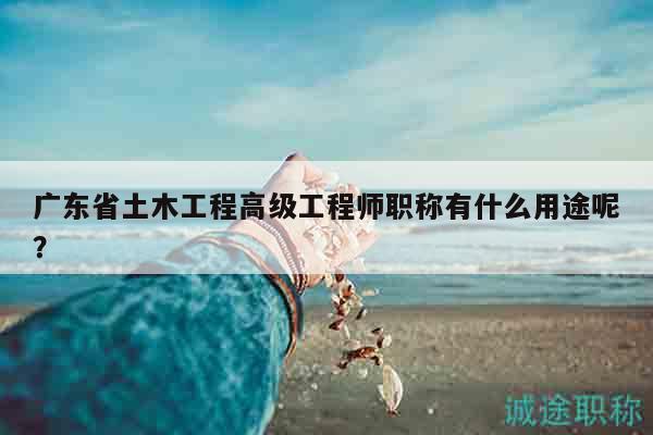 广东省土木工程高级工程师职称有什么用途呢？